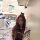 더지젤 이미지
