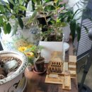 인동중앙로8길-1 이미지