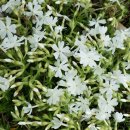 두원농장 이미지