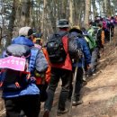 솔향기길 주차장 이미지