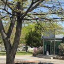 경주농원 | [경주 천북] 암행어사 농원, 솥뚜껑 삼겹살 후기