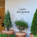 디카프리 완산 이미지