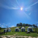 장산목장 | "태백 몽토랑 산양목장 🐑 양들과 힐링하는 하루"