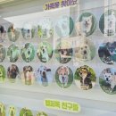 도그헬퍼 이미지