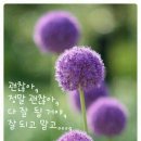 꽃봉우리