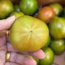 덕우농장 이미지