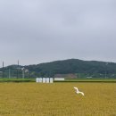 낙토 | 인천 강화도 독채 펜션 '낙토' 제로웨이스트 숙소 추천