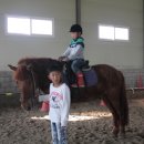 임자남초등학교 이미지