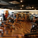 스타짐(STAR GYM) 이미지