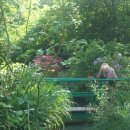 지베르니 이미지