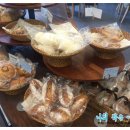 희양식품 | [부산시민회관 카페]베이커리 카페, 맛있는 그릭요거트!!