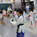목동 경희대 태권도 교육관 | 자신감과 체력을 동시에! 동탄 경희대태권도장에서 시작하는 어린이 태권도