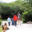 아르헨티나 여행기 35 - 칼라파테에서 페리토 모레노. 이미지