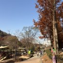 할매보리밥 이미지