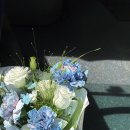 전남대학교 경영전문대학원 | 졸업스냅 때문에 방황하는 친구들에게,,~~