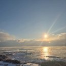 표선리-11 | 제주 근처 흑돼지 맛집 "제주 흑돼지고을" 내돈내산 후기 : 새해맞이 제주여행 마지막 저녁을 보내며...