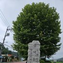 조인트힐병원 이미지