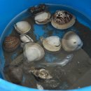 그녀의 바다 | [태안여행 숙소]그녀의바다펜션 솔직후기🌊 바다뷰 펜션 추천