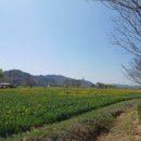 중앙메디칼보청기 이미지