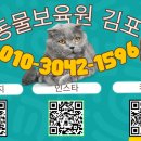 동물보육원 경기 수원 지부 이미지