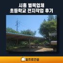 나무건설 | 시흥 벌목업체 초등학교 나무 전지작업 후기