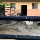 김정호 농장 | '동물복지 중심'의 청주동물원 방문 후기, 충북 청주 가볼만한곳 / 유퀴즈온더블럭 김정호 수의사 출연