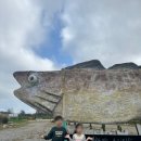 언덕위에바다 이미지