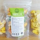 명랑견생 이미지