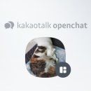 창원강아지분양 헬스독 애견입양 말티푸들포메라니안미니비숑 이미지