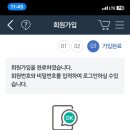 피카소파크