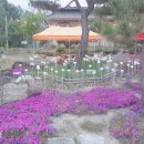 꼬꼬패밀리꼬꼬친구 이미지