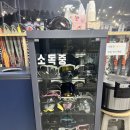 이지레포츠 이미지