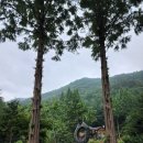 (취소)3월1일(수) 계룡시 입암저수지 천호산 온빛자연휴양림 산행 이미지