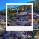 바다로 가는 길목 | 부산절 추천 넓은 바다와함께 공존하는 사찰 기장 해동용궁사 가는길과 주차장안내