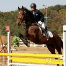 제2실내승마장 이미지