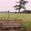 표선생각 이미지