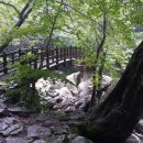 지리산한방흑돼지