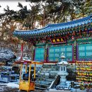 도반