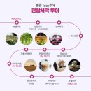 멍스타일 (멍Style) | 나트랑 판랑투어 시간 사막 세미패키지 후기