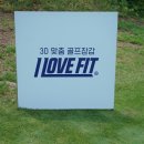 인슈핏