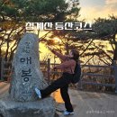 원터길 45 (1) | 청계산 등산코스 시간 청계산 매봉코스 등산 초보 난이도