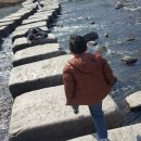 (주)함소아화장품 | 아토피크림 추천, 함소아닥터아토비 더마 베리어크림