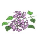 다리미삼겹살 천호점 이미지