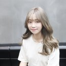 헤어디자인하다 이미지