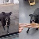 도도 동물병원 이미지