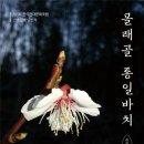 바치 - 성동구 서울숲7길 5 | 바치