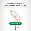 (주)더라이트