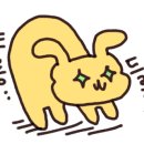 오션1527 이미지