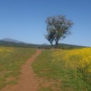 치유의숲 공중화장실 이미지