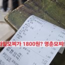 1800 | 대전빵지순례코스 1800원 과일모찌 영춘모찌 주말웨이팅마감 후기